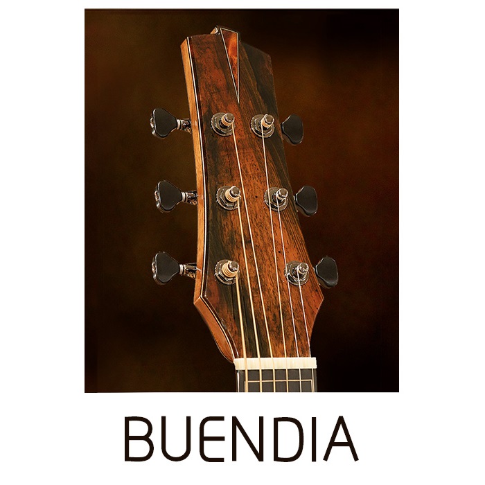 美籍阿根廷裔独立制琴师Leonardo Buendia