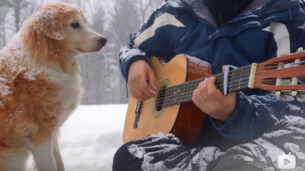 知名音乐博主AcousticTrench唯美雪景中吉他指弹Paradise – Coldplay！