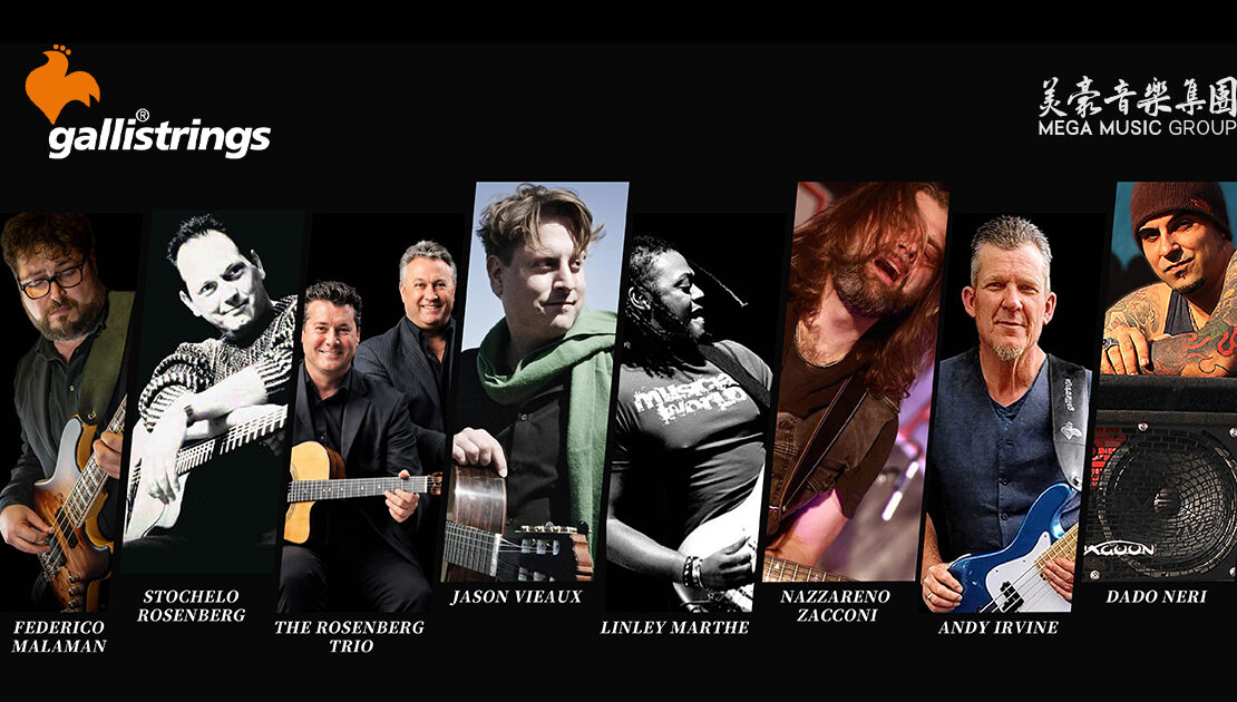 galli-strings-artists-overview
