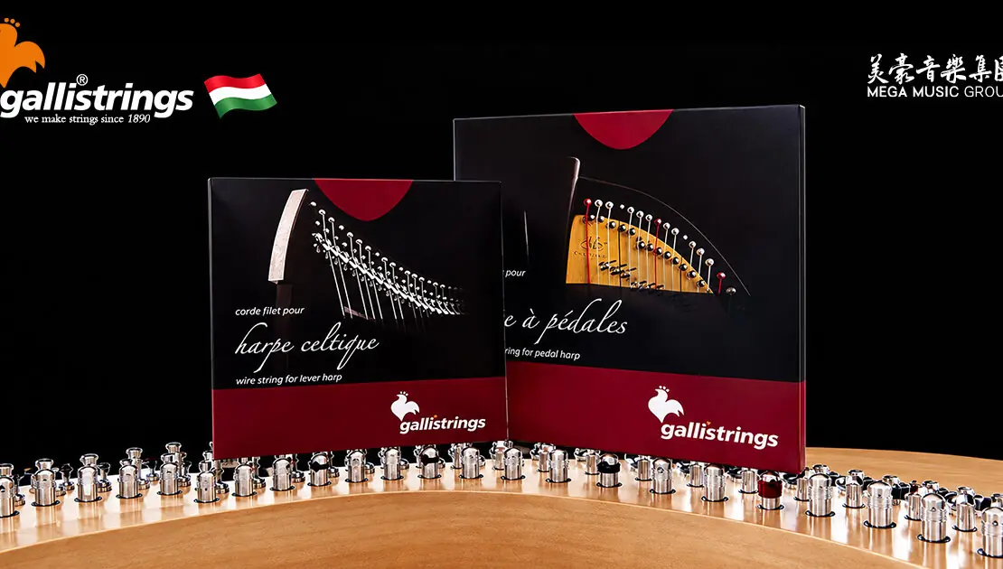 galli-strings-harp-celtic-concert