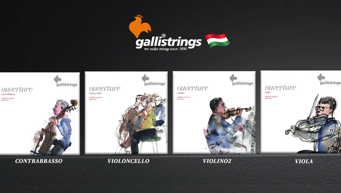 galli-strings-violin-viola-cello-bass