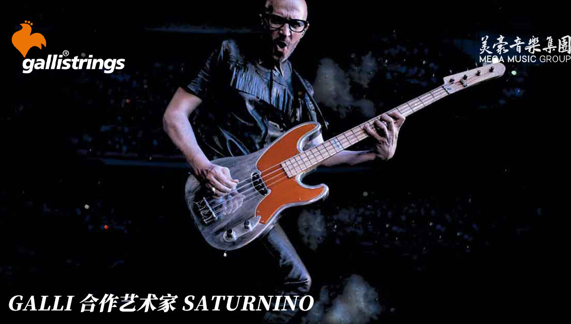 galli-artist-saturnino-bass-strings