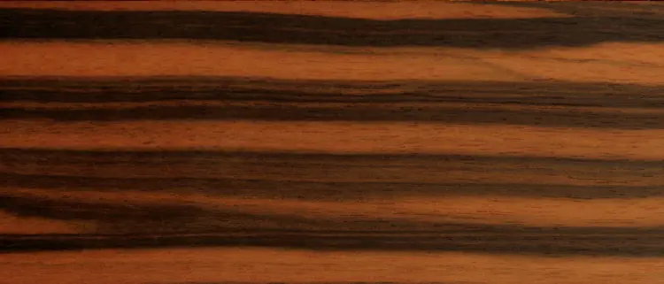 Lowden 黑檀背侧 S 桶型：望加锡黑檀 Macassar Ebony 背板木料特写